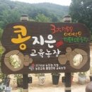 조선된장 이미지