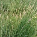 초지축산 이미지