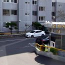 하이야트 이미지