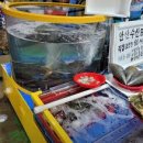 궁평항해오름수산시장 | 경기도 화성시 궁평항해오름수산시장