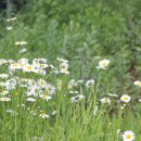 다울농장 이미지