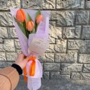 꼼므플레르/ 자몽 3송이 튤립(네덜란드 수입소재꽃)/ 분당구 수내동 수내고 픽업 2천원할인/ 정자동...