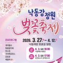 삼락생태공원 | 2026 부산 벚꽃 명소 사상 삼락생태공원 축제 주차 꿀팁 + 실시간 개화 후기