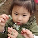 해람어린이집 이미지