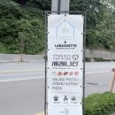 세리예스 | 아기와 가기 좋은 애견동반 가능한 강릉 시청맛집 “세레니타”