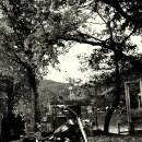 털랭이 매운탕 이미지