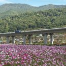 스테이더담 사촌점 이미지