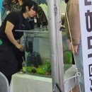 제주문화방송 주식회사 | 돌아오는 날까지 쉽지 않았던 │부산/진해 여행후기 2편