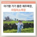 미소체험 | 제주 아기랑 갈만한 곳 추천｜공항 근처 무료 23개월 아침미소 목장 + 체험 후기