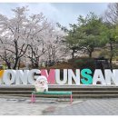 양평체육공원길 이미지