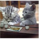 식사합시다 이미지