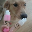 멍스하우스 이미지