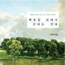 숲의 안부