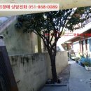 사하구 장림로 이미지
