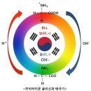 식품의 응고작용과 태극기 이미지