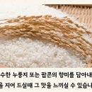 정직마켓 네이버블로그
