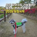 샘마루공원 테니스장 | 우리 강아지도 순찰견 될 수 있을까? 원주시 반려견순찰대 2026 모집 시작