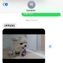 백슬동물병원 이미지