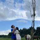 오서목장 이미지