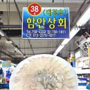 부산 광안리 민락어민활어직판장 38호 함안상회 가성비 횟집 추천 내돈내산 후기