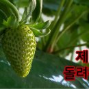 프라임사이언스 이미지