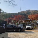 깊이울달빛캠핑장 이미지