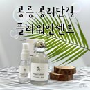 경춘선숲길 공리단길 데이트 코스 추천 | 공릉 “플라워인센트”