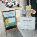 원화로6(북) | 이다 작가님 <초록친구> 북토크 후기