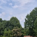 반석천 | 대전 궁동 카페, 가을에 가야하는 커피인터뷰