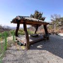 숲 펜션&캠핌장 이미지