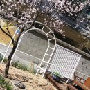 주안해피타운 요양원 이미지