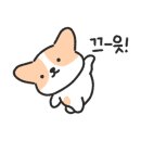 아이리스PC soul 이미지