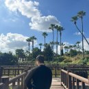 모들한상 제주 애월 맛집 고사리보말파스타 특별한 양식추천, <b>모들</b><b>한상</b>