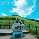 곰배령펜션 휴림 | 강원도계곡펜션 곰배령 펜션 휴림 여름국내여행 떠날 때 주말나들이로도 좋은 계곡은?