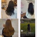 미쓰박붙임머리 대전본점 | 변화를 원하신다면 미쓰박붙임머리 대전본점에서 대전붙임머리로 새롭게 달라지세요