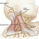 신세계영상의학과의원 이미지
