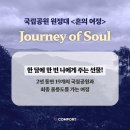 총각네옥수점 | 컴포트(Comport)라는 브랜드를 접하고 난 이후의 변화 후기