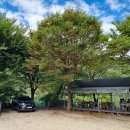 김봉창 코다리 이미지