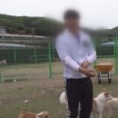 영웅농장 이미지