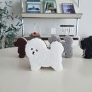 댕댕주방 이미지