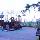 건천1천 이미지