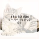 몸이편안한의원 네이버블로그