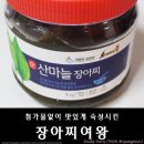 미야옹 이미지