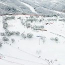 홍천자연랜드 이미지