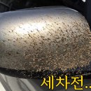 신화손세차장