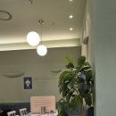 [삼성] 코엑스 비건 레스토랑! 플랜튜드 맛있었던 후기