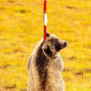 두둠칫 댄스 이미지