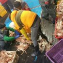 친구수산 이미지