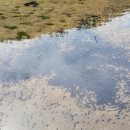 추평농장 이미지