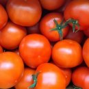 명광농장 이미지